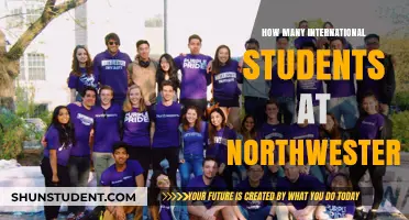 International Students Thriving at Northwestern