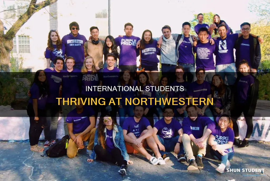how many international students at northwestern