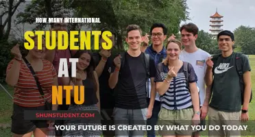 International Students Thriving at NTU
