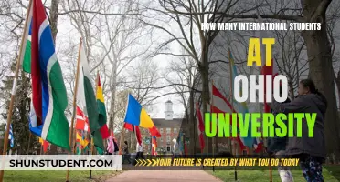 International Students Thriving at Ohio University: Numbers Speak