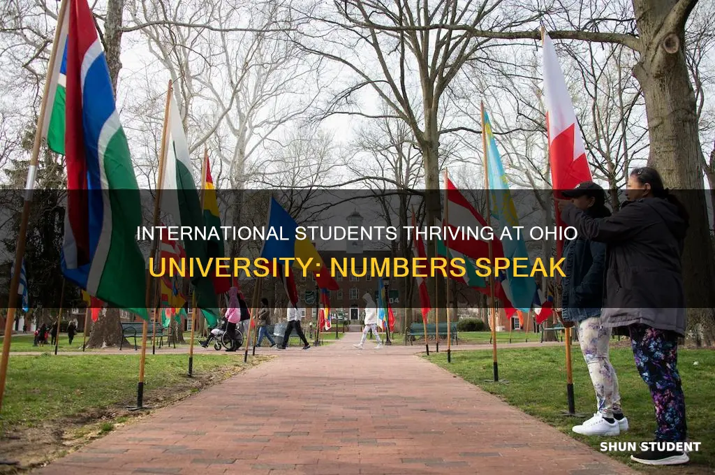 how many international students at ohio university