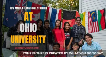 International Students at Ohio University: A Thriving Community