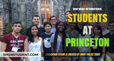 International Students Thriving at Princeton