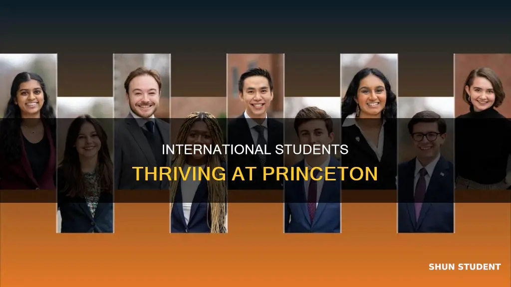 how many international students at princeton