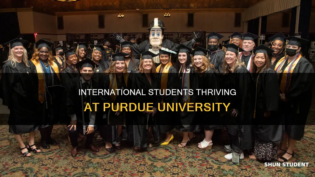 how many international students at purdue