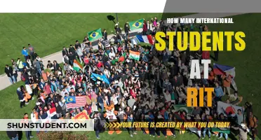 International Students Thriving at RIT