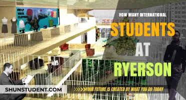 International Students Thriving at Ryerson University