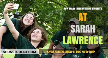 International Students Thriving at Sarah Lawrence