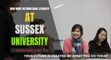 International Students Thriving at the University of Sussex