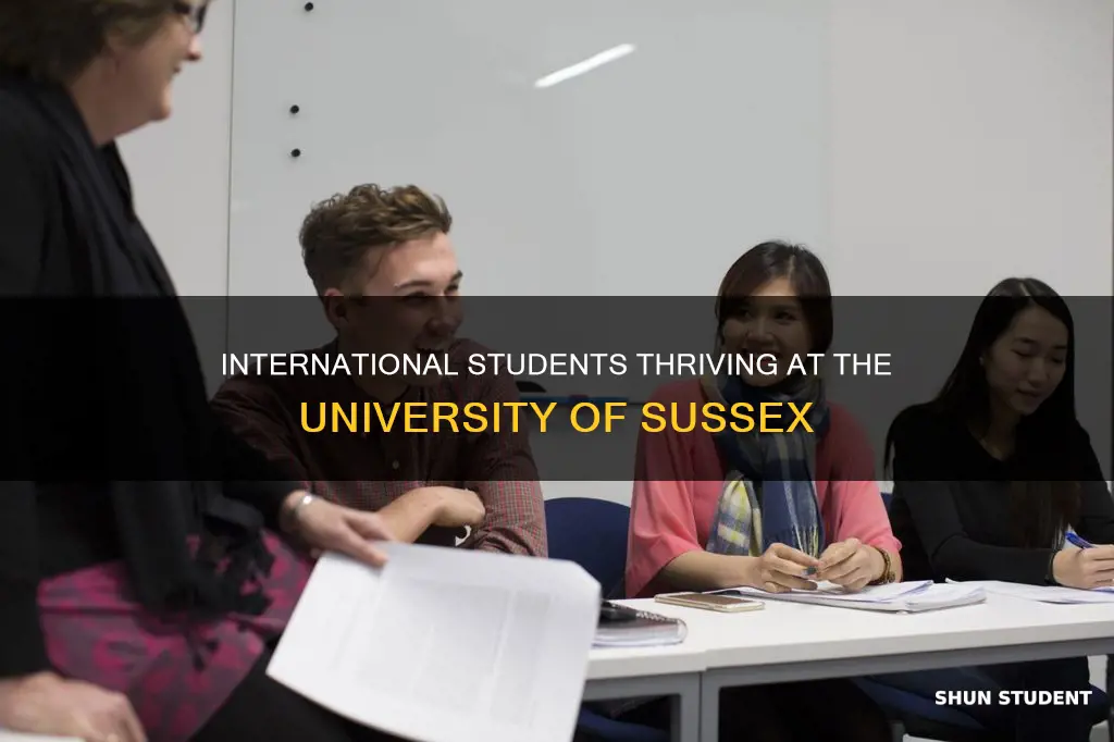 how many international students at sussex university