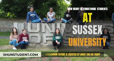International Students Thriving at Sussex University