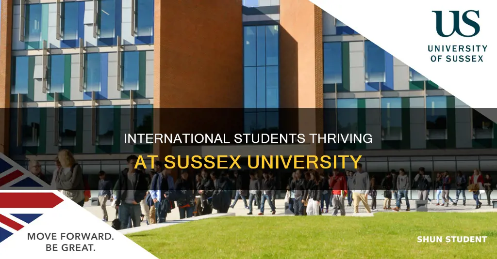 how many international students at sussex university