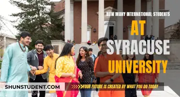 Syracuse University: International Students' Hub