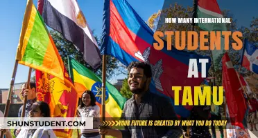 International Students Thriving at Texas A&M