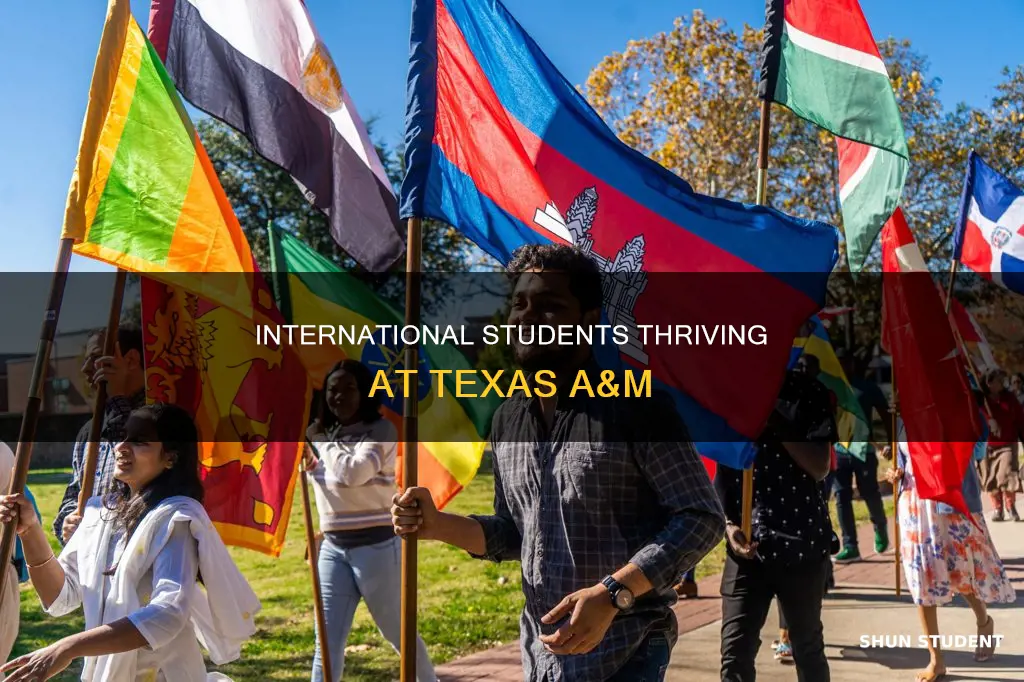 how many international students at tamu