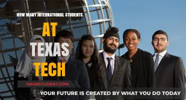 International Students Thriving at Texas Tech