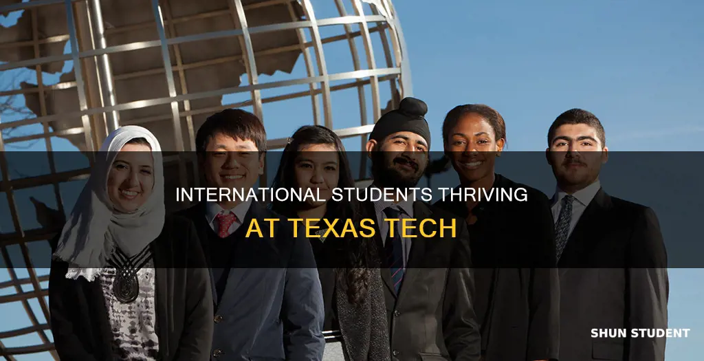 how many international students at texas tech