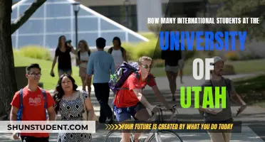 International Students Thriving at the University of Utah