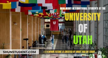 International Students Thriving at the University of Utah