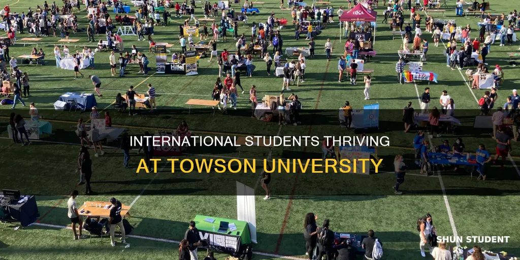 how many international students at towson university