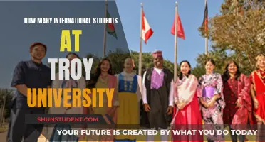 International Students at Troy University: A Diverse Community