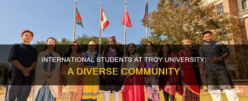 how many international students at troy university