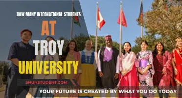 International Students Thriving at Troy University