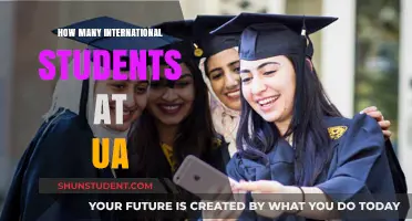 International Students Thriving at UA