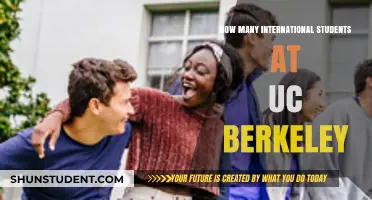 International Students Thriving at UC Berkeley