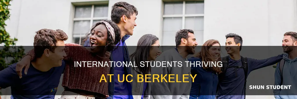 how many international students at uc berkeley