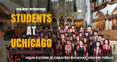 International Students Thriving at the University of Chicago