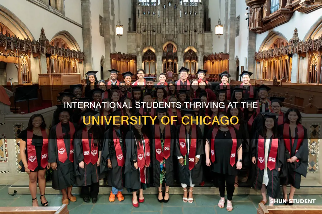 how many international students at uchicago