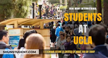 International Students Thriving at UCLA