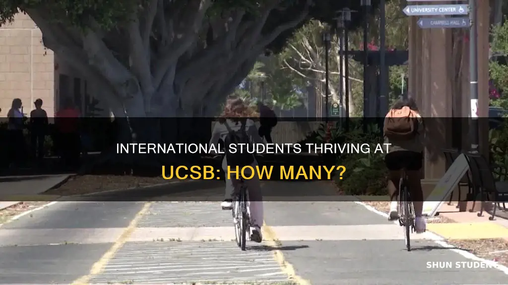 how many international students at ucsb
