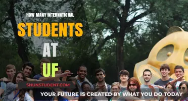 International Students Thriving at the University of Florida