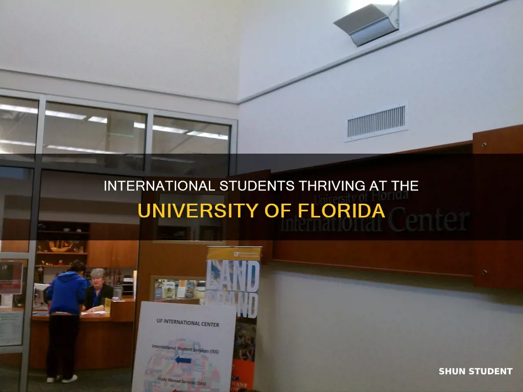 how many international students at uf