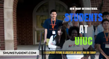 International Students Thriving at UIUC