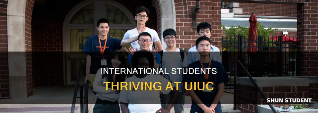 how many international students at uiuc
