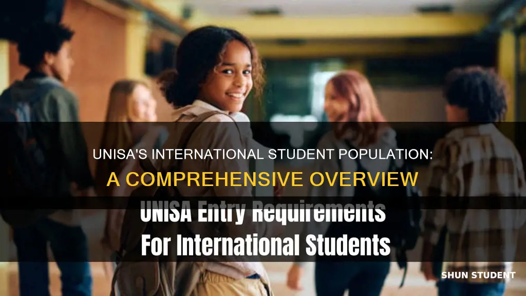 how many international students at unisa