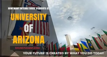 International Students Thriving at the University of Arizona