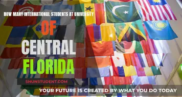 International Students Thriving at the University of Central Florida