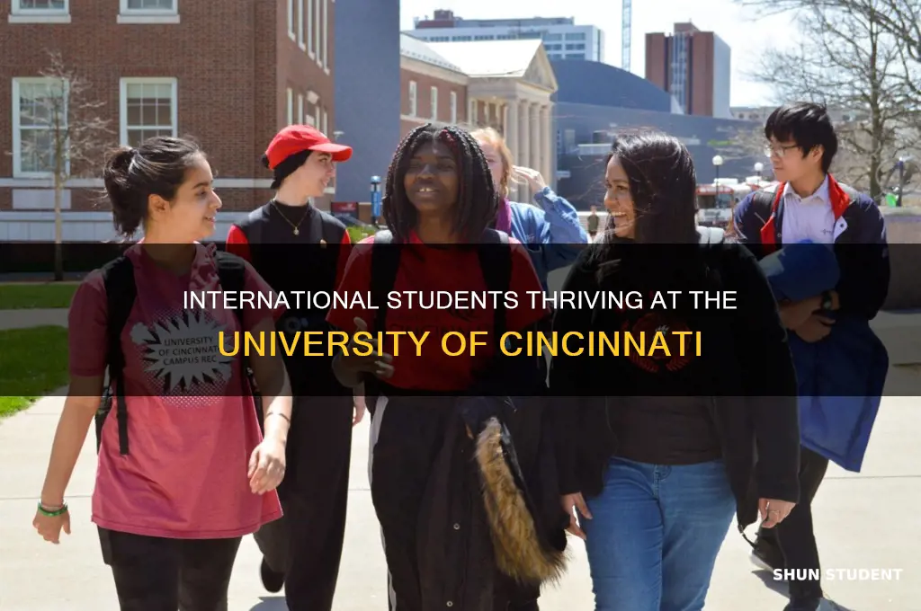 how many international students at university of cincinnati