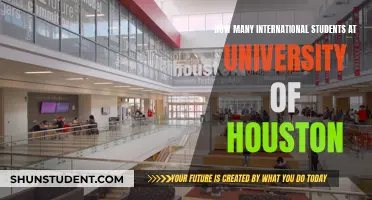 University of Houston: International Student Population Insights