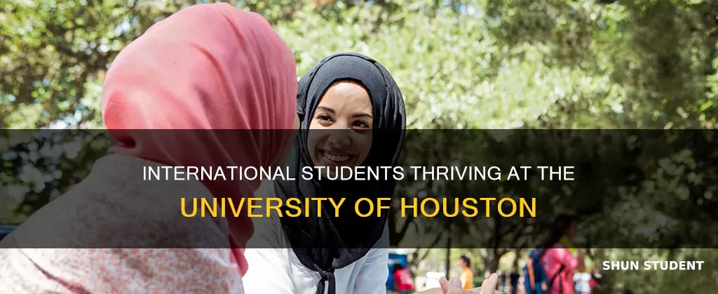 how many international students at university of houston