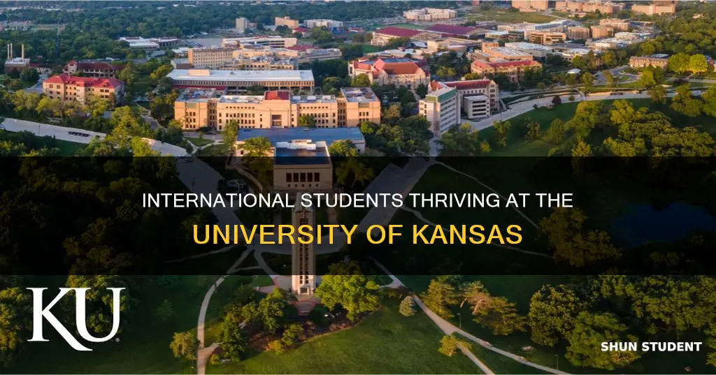 how many international students at university of kansas