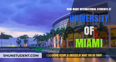 International Students Thriving at the University of Miami