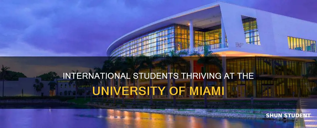 how many international students at university of miami