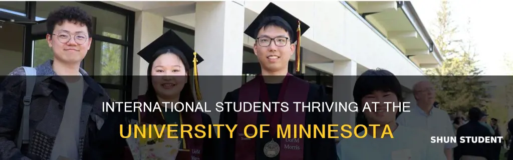 how many international students at university of minnesota