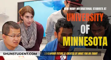 International Students Thriving at the University of Minnesota