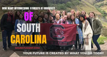 International Students Thriving at the University of South Carolina